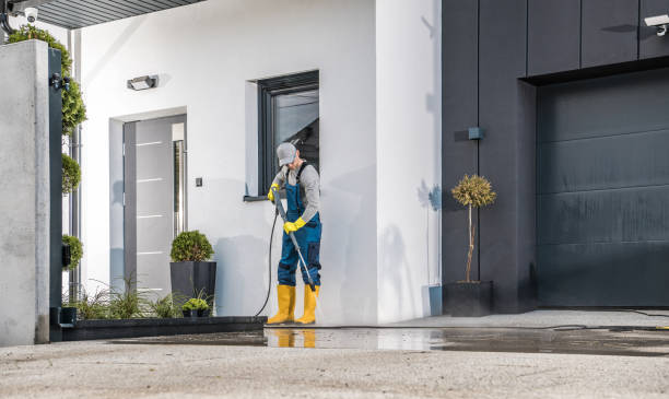 Pre-Holiday Cleaning in Cascade, IA